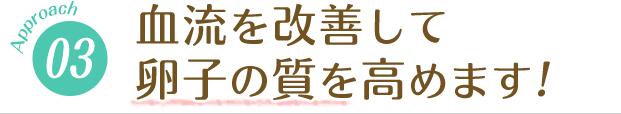 血流を改善して卵子の質を高めます！